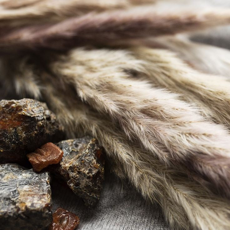 Musk Perfume — Timeless Aroma and Surprising Natural Origin