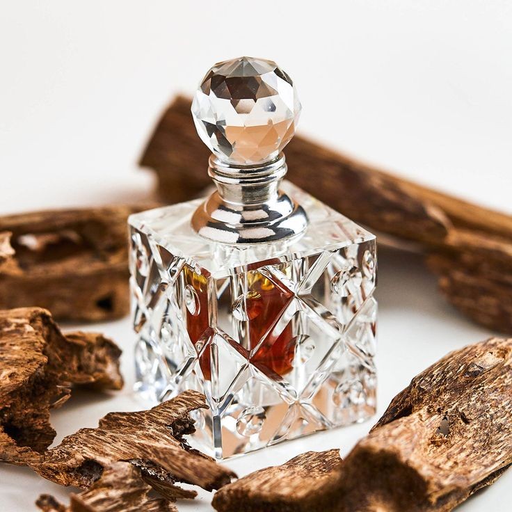 What is Oud — Rare Agarwood Resin in Arabian Perfumery