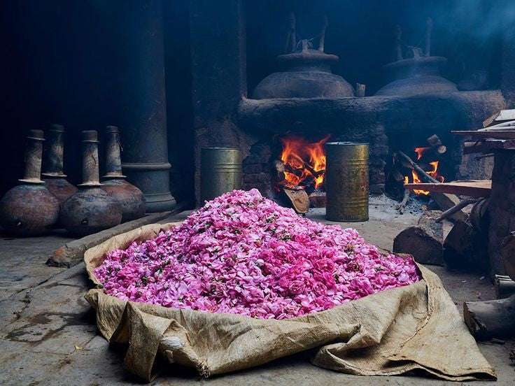 Enfleurage Perfumery — Ancient Fragrance Extraction Art