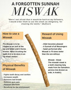 Al khair Miswak with holder