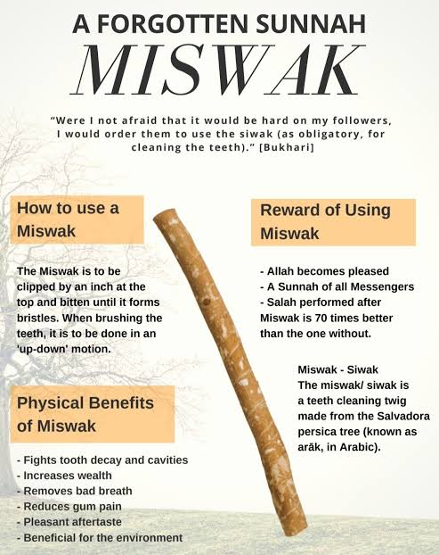 Al khair Miswak with holder